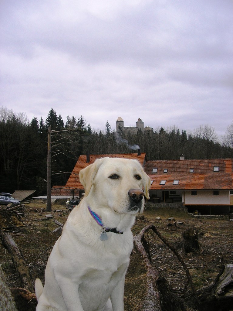 Na Habeši 2008