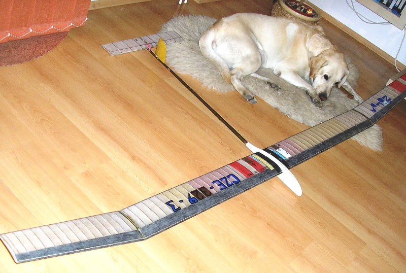 Bunt Žolda