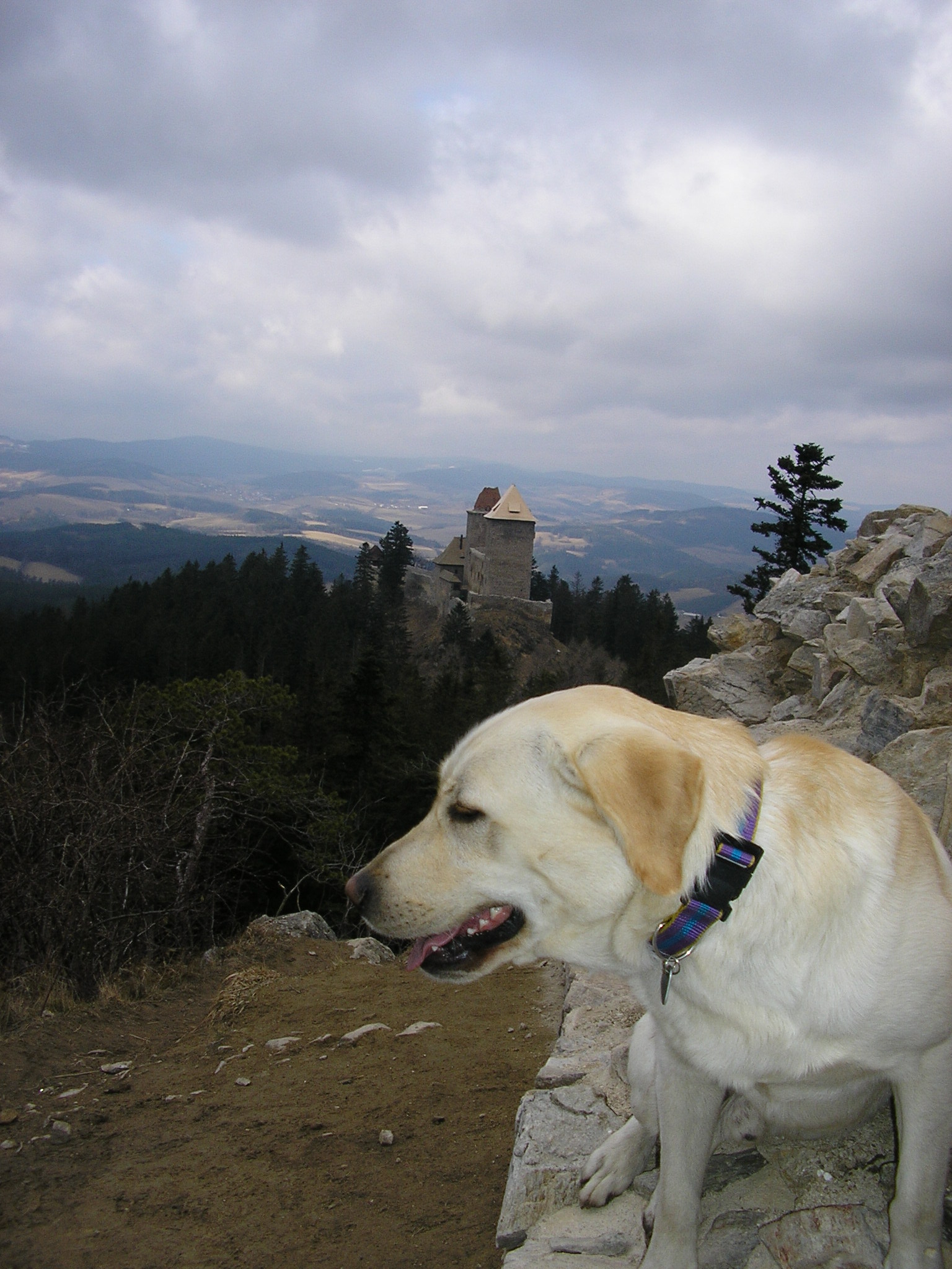 Kašperské Hory 2008