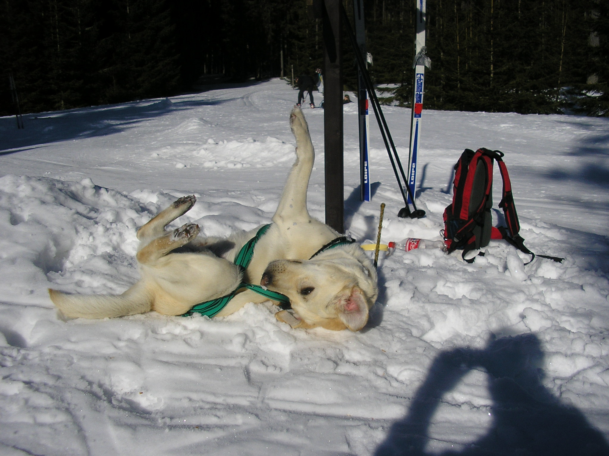 Kvilda - cesta na prameny Vltavy 2008